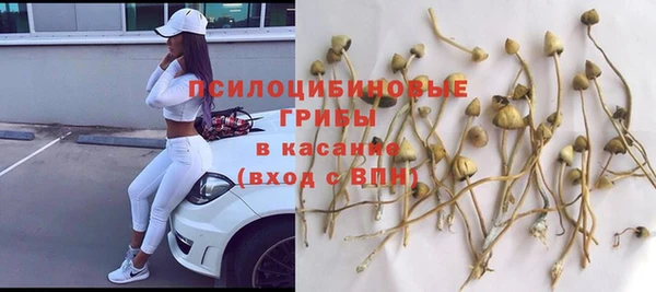 соль ск Вязьма