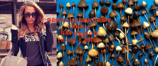 трава Верхнеуральск