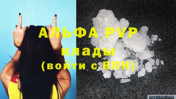 крисы Верея