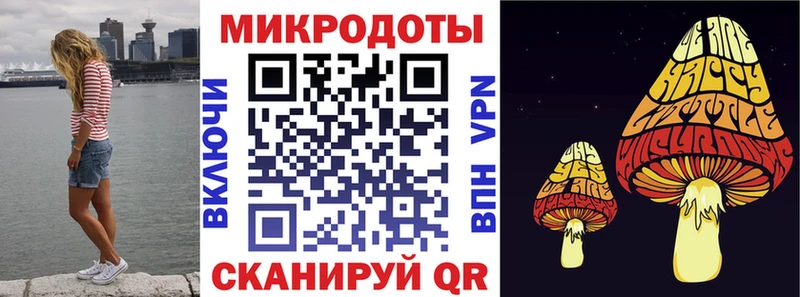 цена   Ипатово  Галлюциногенные грибы Psilocybe 