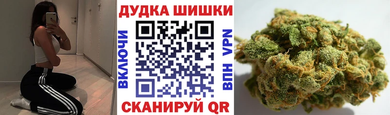Конопля сатива  Ипатово 